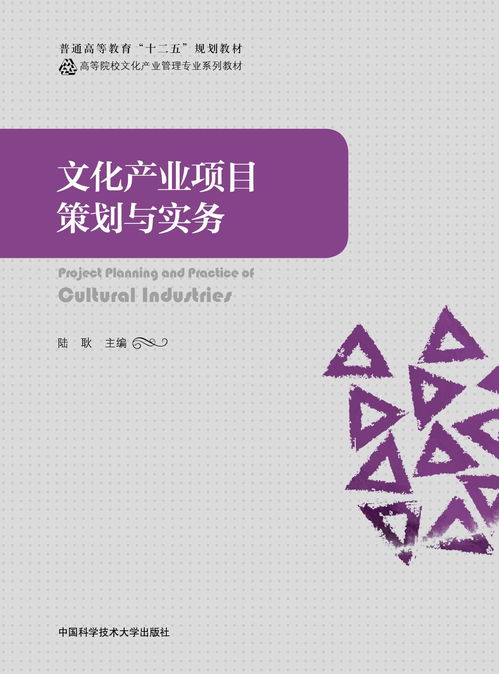 文化產(chǎn)業(yè)項(xiàng)目策劃與實(shí)務(wù) 以文化藝術(shù)交流活動(dòng)策劃為例